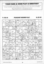 Pleasant Mound T105N-R29W, Blue Earth County 1991